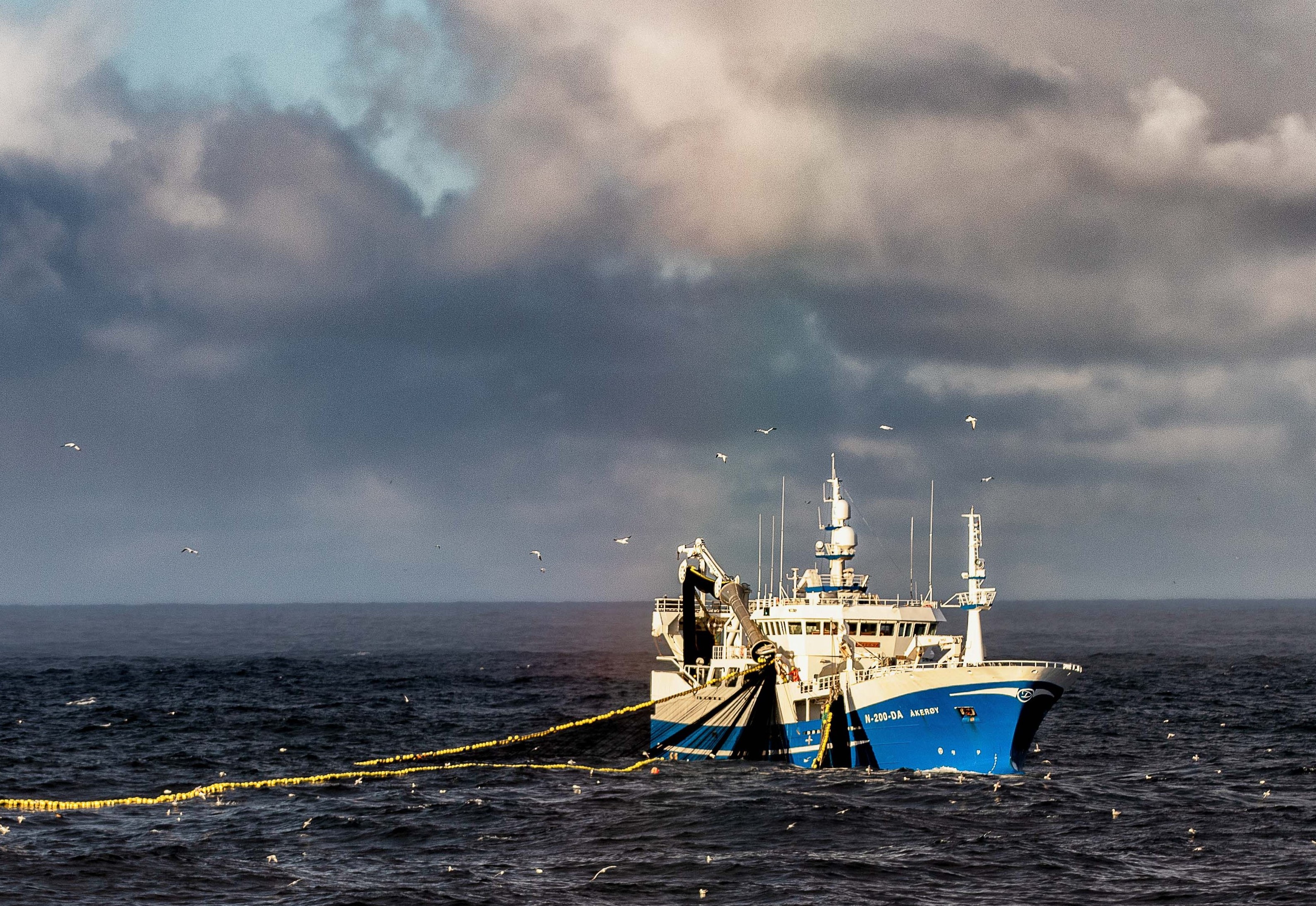 Fiskebåt på havet.